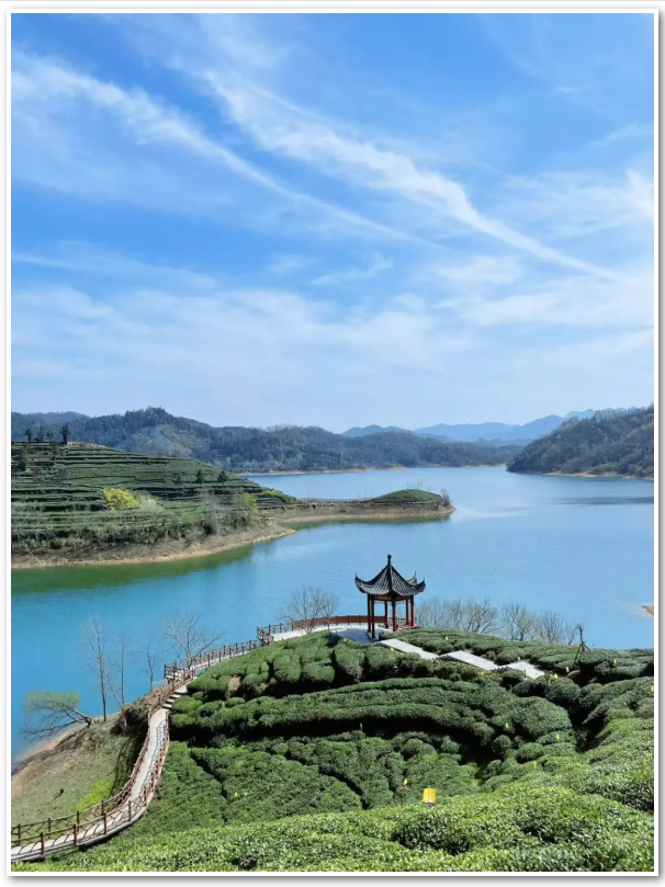 323信图片_20260514100023_1701_56.png