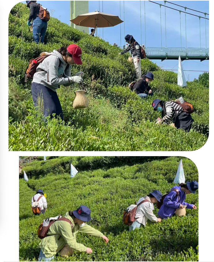 微信图片_20260514103931_1705_56.png